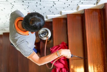 הקיץ מתקרב? הטרמיטים באים