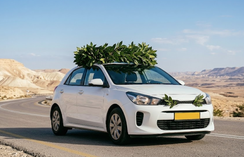 לבן על שחור: למה הישראלים מאוהבים ברכב הלבן?